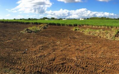 GRS BEGINS CONSTRUCTION OF A NEW PROJECT IN MAURITIUS ISLAND