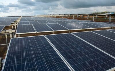 Inauguration of the Mauritian plant