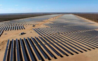2022 Review: Leadership in Australia and growth in Europe