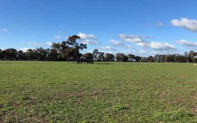 GRS will build for FRV the Walla Walla Solar Farm in Australia
