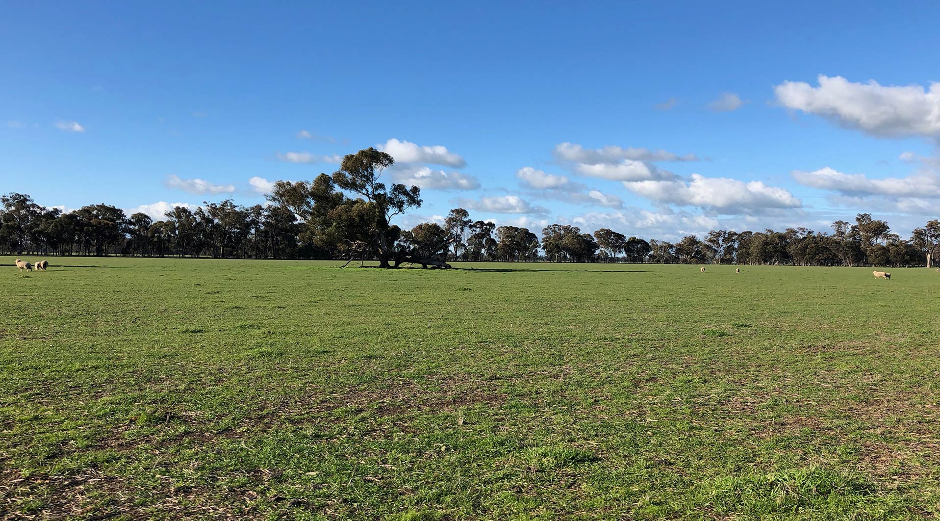 GRS will build for FRV the Walla Walla Solar Farm in Australia