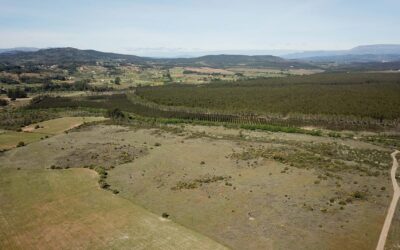 GRS builds in Penamacor its 8th photovoltaic plant in Portugal